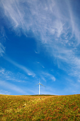 포토 JPG 해외이미지 식물 산업 밭 자연 하늘 바람 풍경 사람없음 초록색 파란색 글로벌 우주 환경 탑 힘 재활용 풍차 발전기 에너지 흰색 칼날 역 보호 자원 세대 유지 돛대 방앗간 혁명 개발 생태학 효율 공급 해외202004 해외포토 자연요소 건축물 교육 컬러 컨셉 농업 교통시설 날씨 발전소 친환경 생태계 파일형식 이미지허브
