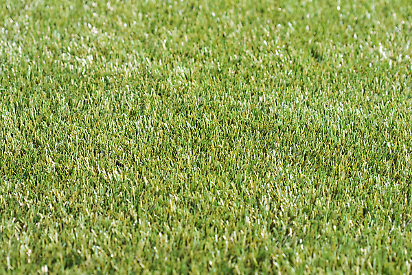 포토 JPG 해외이미지 식물 공원 스포츠 포즈 백그라운드 패턴 밭 자연 놀이 추상 풍경 잔디 사람없음 야외 초록색 여름 축구 경쟁 경기장 성장 게임 우승 땅 질감 지역 점수 골 해외202004 해외포토 계절 공공시설 컬러 컨셉 무늬 농업 스포츠시설 구기 최고 생태계 파일형식 이미지허브