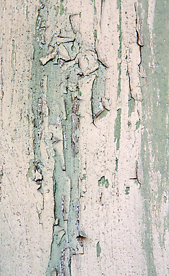 포토 JPG 해외이미지 백그라운드 추상 사람없음 목재 초록색 페인트 손상 도시 얼룩 균열 버리기 부식 질감 그런지 깨짐 썩음 노화 막 디테일 해외202004 해외포토 나무 컬러 컨셉 무늬 재료 모션 파일형식 이미지허브