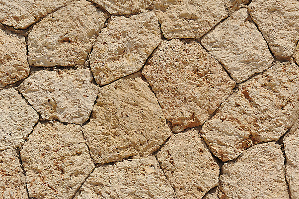 포토 JPG 해외이미지 디자인 모래 벽 바다 백그라운드 패턴 건축양식 부분 자연 추상 조개 연체동물 사람없음 건물 장식 빨간색 물 여름 빛 컬러풀 갈색 껍질 바위 흰색 시간 질감 라임 그런지 옛날 스타일 해외202004 해외포토 자연요소 건축물 계절 건축 컬러 무늬 과일 어패류 무척추동물 돌_바위 생태계 파일형식 이미지허브