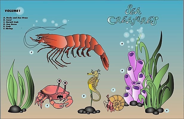 EPS 해외이미지 동물 교육 바다 일러스트 자연 새우 생물 갑각류 게 산호 에코 해외202004 해외일러스트 환경 자포동물 생태계 파일형식 벡터 이미지허브