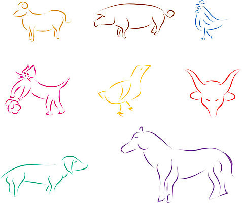 EPS 해외이미지 동물 캐릭터 디자인 행복 야생동물 백그라운드 컨셉 일러스트 포유류 자연 조류 추상 염소 오리 털 동물원 미술 그래픽 세트 컬러풀 농장 고양이 치킨 붓 돼지 소 유머 개 낙서 만화 스케치 수집 오브젝트 그림 황소 클립 윤곽 코믹 수탉 내추럴 고립 암탉 해외202004 해외일러스트 일러캐릭터 감정 컬러 무늬 농업 문화예술 반려동물 닭 암컷 수컷 생태계 닭고기요리 파일형식 벡터 이미지허브