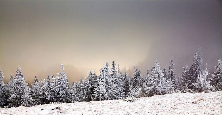 포토 JPG 해외이미지 나무 계절 행복 여행 백그라운드 크리스마스 겨울 자연 하늘 날씨 휴가 새로움 산 기념 요정 국립공원 풍경 사람없음 야외 파란색 빛 태양 얼음 축제 추위 흰색 축하 소나무 눈송이 숲 12월 연도 서리 전나무 루마니아 1월 폭설 눈내림 해외202004 해외포토 자연요소 식물 공원 기념일 감정 유럽 컬러 컨셉 눈_날씨 날짜 자연재해 생태계 파일형식 이미지허브
