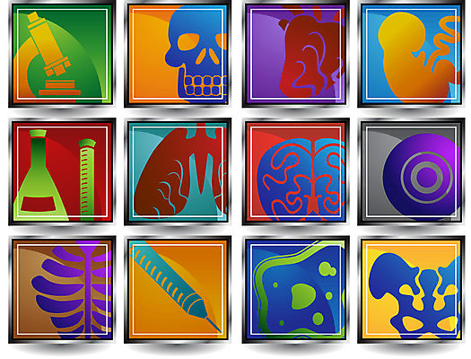 EPS 해외이미지 클립아트 디자인 과학 인터넷 일러스트 버튼 유리병 골격 세포 건강 병원 현미경 주사기 미술 그래픽 장식 세트 웹 하트 허파 뇌 생물학 정사각형 태아 돌봄 바이오 엘리먼트 해골모형 해외202004 해외일러스트 모양 도형 교육 의학 의료기기 모션 병_용기 문화예술 실험기구 모형 임신 호흡기관 파일형식 벡터 이미지허브