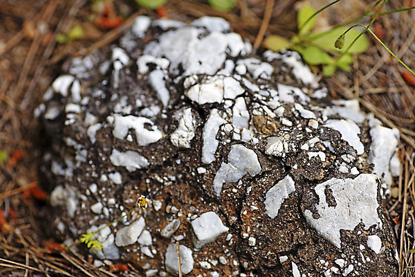 포토 JPG 해외이미지 디자인 벽 백그라운드 패턴 건축양식 자연 표면 날씨 추상 산 바닥 사람없음 우주 검은색 놀람 공백 회색 골동품 거친 묘사 질감 화산 대리석 시멘트 용암 내추럴 그런지 옛날 우수 콘크리트 현무암 화강암 해외202004 해외포토 건축 감정 컬러 무늬 재료 표정 암석 절기 생태계 화산암 파일형식 이미지허브