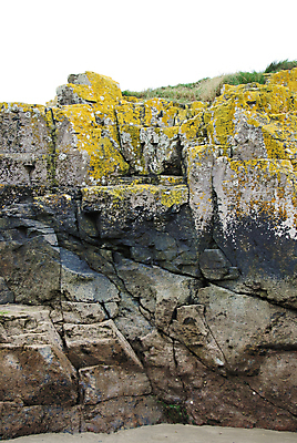 포토 JPG 해외이미지 벽 자연 이끼 풍경 사람없음 야외 노란색 침묵 회색 바위 거친 북쪽 다리찢기 골절 해외202004 해외포토 컬러 의학 모션 소리 돌_바위 방향 생태계 파일형식 이미지허브