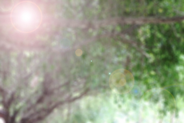 포토 JPG 해외이미지 모양 식물 디자인 계절 백그라운드 컨셉 잎 패턴 자연 하늘 아침 추상 미술 잔디 사람없음 초록색 여름 빛 컬러풀 햇빛 태양 맑음 봄 거품 흰색 원형 닫기 소프트포커스 숲 질감 보케 부드러움 내추럴 광 블러 효과 해외202004 해외포토 주간 자연요소 도형 컬러 무늬 모션 날씨 문화예술 촬영기법 감각 생태계 파일형식 이미지허브