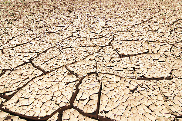 포토 JPG 해외이미지 식물 지구 패턴 표면 날씨 추상 건조 사람없음 환경 사막 뜨거움 황무지 균열 묘사 질감 가뭄 시들음 내추럴 땅바닥 생태학 재앙 해외202004 해외포토 교육 무늬 모션 바닥 파일형식 이미지허브