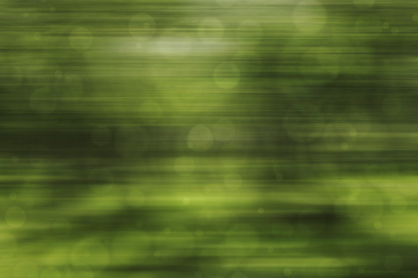 포토 JPG 해외이미지 모양 식물 디자인 계절 백그라운드 컨셉 잎 패턴 모션 자연 하늘 아침 추상 미술 잔디 사람없음 초록색 여름 빛 컬러풀 햇빛 태양 맑음 봄 거품 흰색 원형 닫기 소프트포커스 숲 속도 질감 보케 부드러움 내추럴 광 블러 효과 해외202004 해외포토 주간 자연요소 도형 컬러 무늬 날씨 문화예술 촬영기법 감각 생태계 파일형식 이미지허브