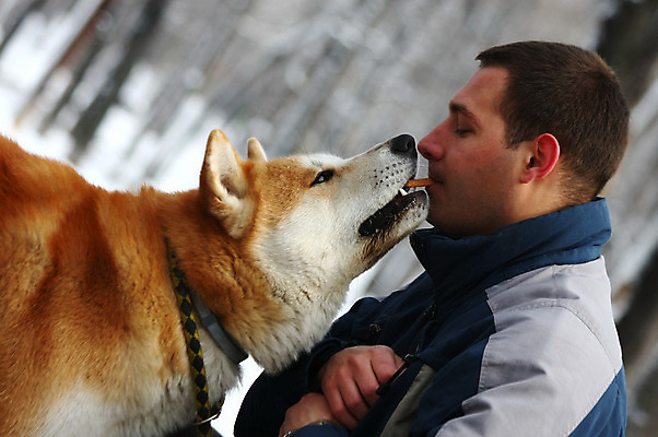 포토 JPG 해외이미지 동물 얼굴 신체 한명 소년 반려동물 일본 힘 용기 자신감 개 위험 큼 근육질 조심 고체 기르기 세르비아 지능 힘찬 해외202004 해외포토 1 그릇 남자 감정 아시아 어린이 컨셉 포유류 근육 사람 신체부위 크기 몸매 돌봄 파일형식 이미지허브