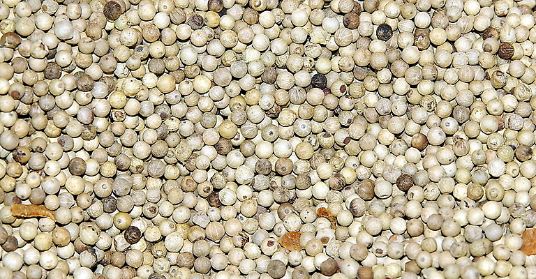 포토 JPG 해외이미지 열매 음식 재료 요리 사람없음 흰색 허브 향신료 날카로움 후추 작살 해외202004 해외포토 식물 컬러 향미료 파일형식 이미지허브