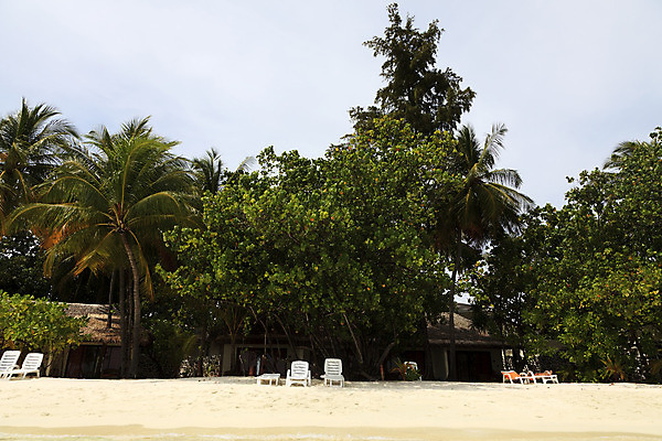 포토 JPG 해외이미지 나무 모래 의자 하늘 휴가 따뜻함 풍경 사람없음 여름 파란색 평화 침묵 뜨거움 해외202004 해외포토 식물 계절 컬러 가구 컨셉 소리 파일형식 이미지허브