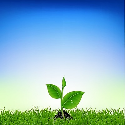 EPS 해외이미지 식물 꽃 백그라운드 잎 일러스트 자연 잔디 사람없음 초록색 여름 새싹 정원 봄 성장 허브 수선화 모종 전국 해외202004 해외일러스트 계절 컬러 생태계 파일형식 벡터 이미지허브