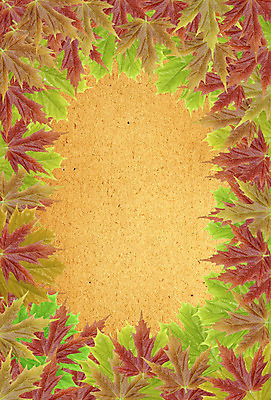 포토 JPG 해외이미지 클립아트 템플릿 계절 종이 조각 잎 일러스트 프레임 미술 사람없음 갈색 노란색 추위 수확 가을 흰색 미끄럼틀 앨범 편지 그림 질감 복고 테이프 페이지 뼈대 모음 한조각 판지 그런지 스크랩북 옛날 스타일 해외202004 해외포토 식물 1 컬러 농업 문화예술 문구용품 놀이기구 파일형식 이미지허브