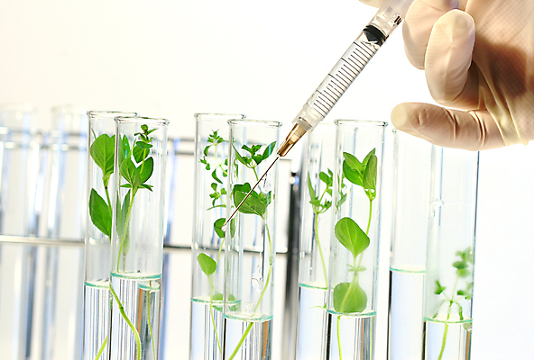 포토 JPG 해외이미지 식물 문화 과학 잎 건강 실험 창조 사람없음 초록색 약 라벨 환경 장비 성장 액체 실험실 DNA 약국 튜브 조제 돌봄 생태학 신발장 유전 프로젝트 화학물질 해외202004 해외포토 교육 컬러 의학 모션 프레임 화학 생명공학 만들기 파일형식 이미지허브