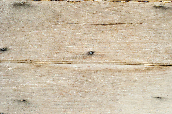 포토 JPG 해외이미지 나무 디자인 선 벽 가구 백그라운드 패턴 자연 벽지 표면 추상 바닥 주택 미술 사람없음 내부 목재 그래픽 장식 빛 갈색 문 어둠 수확 골동품 소나무 판넬 닫기 낟알 묘사 질감 복고 내추럴 수목 옛날 진짜 스타일 해외202004 해외포토 식물 컬러 생활용품 무늬 농업 재료 모션 문화예술 건물 생태계 파일형식 이미지허브