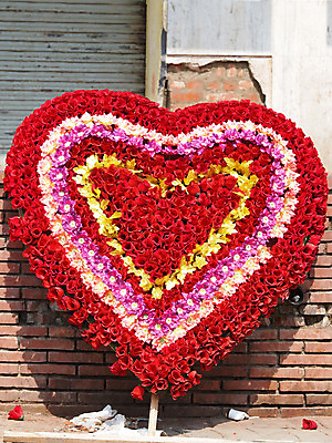 포토 JPG 해외이미지 모양 식물 기념일 꽃잎 꽃 행복 분홍색 꽃다발 잎 꽃무늬 자연 엄마 휴가 발렌타인데이 선물 사랑 사람없음 장식 빨간색 초록색 컬러풀 장미 노란색 여러개 봄 벚꽃 하트 축하 인사 신용카드 생일 우아함 배열 흰배경 S 해외202004 해외포토 알파벳 계절 감정 컬러 다수 백그라운드 컨셉 무늬 가족 데이이벤트 이벤트 금융 흰색 예절 생태계 파일형식 이미지허브