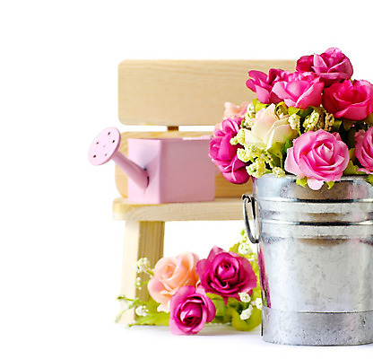 포토 JPG 해외이미지 식물 꽃 분홍색 결혼 백그라운드 꽃무늬 의자 자연 발렌타인데이 사랑 사람없음 목재 장식 초록색 장미 정원 물뿌리개 쓰레기통 공구 캔 냄비 양동이 원예 탱크 내추럴 고립 스타일 아연 해외202004 해외포토 나무 감정 컬러 가구 무늬 재료 데이이벤트 이벤트 취미 도구 솥 생태계 영양소 파일형식 이미지허브
