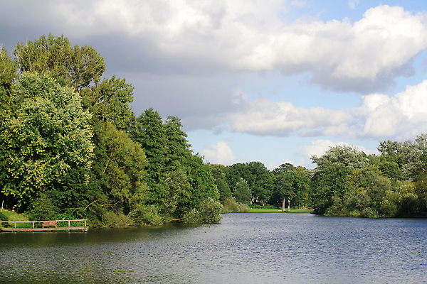 포토 JPG 해외이미지 나무 구름 유럽 호수 자연 하늘 독일 풍경 사람없음 야외 물 여름 평화 환경 연못 숲 9월 삼림지대 함부르크 해외202004 해외포토 자연요소 식물 계절 나라 컨셉 날짜 생태계 파일형식 이미지허브