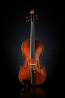 포토 JPG 해외이미지 악기 음악 기술 사람없음 목재 빨간색 소리 클래식 우아함 바이올린 심플 해외202004 해외포토 나무 컬러 컨셉 재료 현악기 문화예술 파일형식 이미지허브