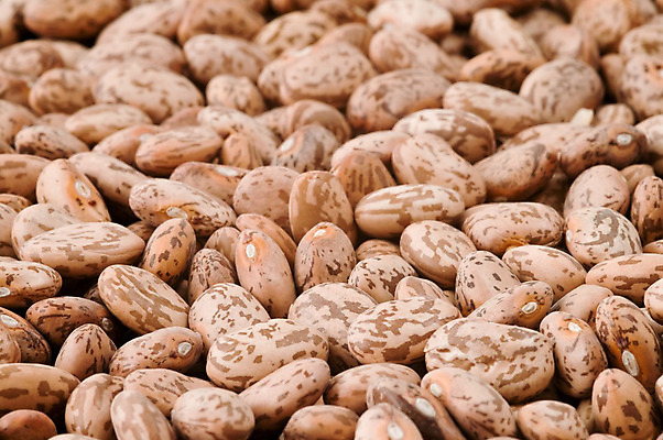 포토 JPG 해외이미지 식물 음식 백그라운드 농업 다이어트 채소 재료 자연 콩 건조 건강 식이요법 요리 씨앗 사람없음 식사 유기농 질감 날것 흙더미 내추럴 숙성 식용 채식주의자 해외202004 해외포토 웰빙 산업 곡류 흙 생태계 채식 파일형식 더미 이미지허브