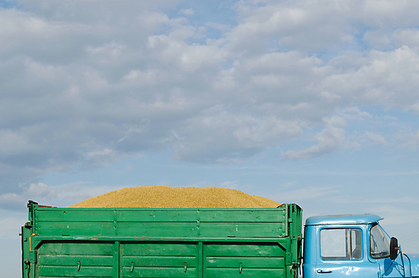 포토 JPG 해외이미지 계절 산업 음식 백그라운드 농업 교실 교통시설 자동차 자연 하늘 씨앗 풍경 사람없음 야외 초록색 여름 파란색 농작물 농장 노란색 쌓기 기계 장비 수확 가을 시골 황금 결합 낟알 땅 시리얼 밀 가득함 유기농 복고 짐차 트레일러 내추럴 밭일 생태학 숙성 옛날 해외202004 해외포토 식물 웰빙 교육 육상교통 컬러 교통 학교 모션 곡류 시설 생태계 파일형식 이미지허브