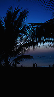 포토 JPG 해외이미지 실루엣 유럽 아시아 모래 바다 섬 여행 백그라운드 오렌지 태국 자연 하늘 아침 휴가 사람 동양인 풍경 사람없음 야외 물 여름 파란색 햇빛 태양 일출 침묵 고요 목욕 황혼 일몰 새벽 기쁨 저녁 발리 종료 독립 해외202004 해외포토 주간 자연요소 계절 감정 나라 컬러 과일 촬영기법 인종 노을 소리 청결 야간 생태계 인도네시아 파일형식 이미지허브