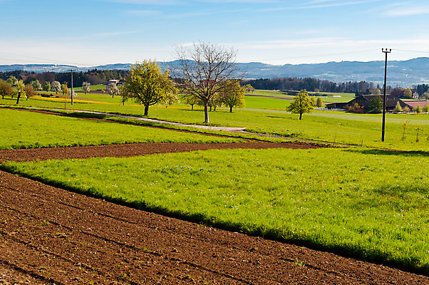 포토 JPG 해외이미지 나무 구름 유럽 지구 밭 농업 건축양식 자연 하늘 아침 산 주택 그림자 씨앗 풍경 사람없음 야외 초록색 농장 농경지 마을 흙 봄 목장 시골 숲 그늘 땅 뿌리기 스위스 언덕 알프스 먼지 진흙 땅바닥 밭일 세련 해외202004 해외포토 주간 자연요소 식물 계절 건축 나라 산업 컬러 모션 바닥 건물 생태계 파일형식 이미지허브
