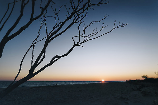 포토 JPG 해외이미지 나무 식물 공원 지구 바다 여행 자연 하늘 날씨 휴가 풍경 사람없음 야외 평화 미국 희망 일몰 자유 황무지 고독 저녁 날것 멀리 해외202004 해외포토 공공시설 감정 컨셉 북아메리카 노을 야간 생태계 파일형식 이미지허브