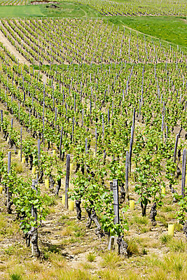 포토 JPG 해외이미지 외관 유럽 사람없음 야외 프랑스 서유럽 해외202004 해외포토 나라 파일형식 이미지허브