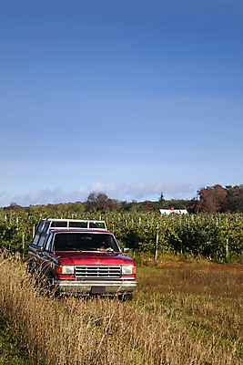 포토 JPG 해외이미지 나무 도로 여행 자동차 자연 하늘 옥수수 풍경 사람없음 파란색 컬러풀 농장 운전 가을 시골 짐차 방법 자동 해외202004 해외포토 식물 계절 길 육상교통 컬러 농업 교통시설 모션 곡류 생태계 파일형식 이미지허브