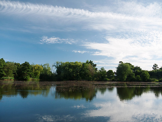 포토 JPG 해외이미지 나무 구름 영어 공원 호수 여행 자연 하늘 표면 휴가 영국 잉글랜드 국립공원 풍경 사람없음 야외 목재 초록색 물 여름 파란색 강 햇빛 반사 평화 환경 맑음 침묵 봄 시골 연못 숲 강가 땅 장면 지역 내추럴 삼림지대 수평선 해외202004 해외포토 자연요소 식물 문자 계절 공공시설 유럽 컬러 컨셉 재료 날씨 태양 소리 생태계 파일형식 이미지허브