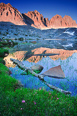 포토 JPG 해외이미지 나무 계절 공원 호수 여행 겨울 오렌지 자연 하늘 산 미술 사람 풍경 사람없음 야외 초록색 물 여름 파란색 빛 햇빛 반사 일출 환경 맑음 일몰 놀람 활발 개울 황무지 황금 숲 고도 오브젝트 만족 역동적 캘리포니아 동쪽 내추럴 강렬 전국 절정 화강암 해외202004 해외포토 자연요소 식물 공공시설 감정 컬러 컨셉 과일 날씨 문화예술 표정 강 태양 노을 미국 암석 방향 생태계 파일형식 이미지허브