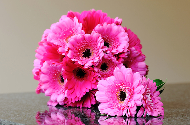 포토 JPG 해외이미지 꽃잎 꽃 분홍색 꽃다발 결혼 꽃무늬 결혼식 사랑 사람없음 컬러풀 활발 벚꽃 신선 우아함 다발 강렬 해외202004 해외포토 식물 감정 컬러 컨셉 무늬 이벤트 파일형식 이미지허브