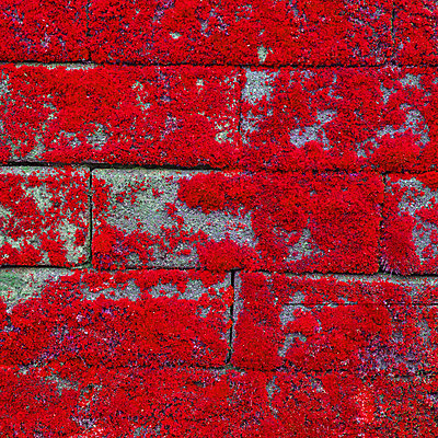 포토 JPG 해외이미지 벽 백그라운드 패턴 건축양식 표면 벽돌 주택 사람없음 건물 장식 우주 페인트 블록 흰색 시골 묘사 질감 시멘트 점토 벽돌담 직사각형 고체 옛날 줄서기 해외202004 해외포토 도형 건축물 건축 컬러 무늬 모션 담장 파일형식 이미지허브