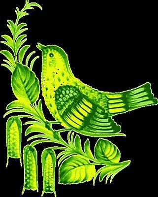 EPS 해외이미지 디자인 꽃 백그라운드 잎 일러스트 조류 검은배경 수채화 미술 사람없음 초록색 손그림 해외202004 해외일러스트 식물 동물 컬러 문화예술 검은색 파일형식 벡터 이미지허브