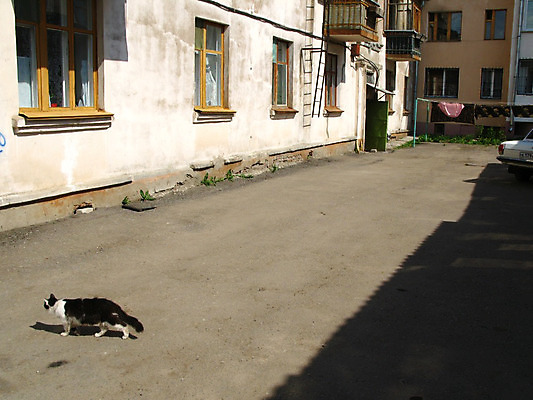 포토 JPG 해외이미지 아침 사람없음 봄 도시 5월 해외202004 해외포토 주간 계절 날짜 파일형식 이미지허브