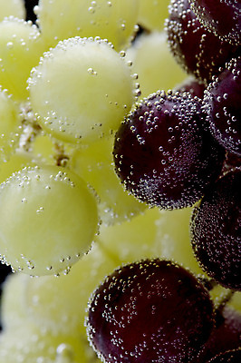 포토 JPG 해외이미지 음식 백그라운드 과일 자연 포도 건강 사람없음 물 검은색 거품 젖음 신선 액체 닫기 달콤 떨어짐 고립 해외202004 해외포토 자연요소 컬러 컨셉 모션 맛 생태계 파일형식 이미지허브