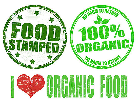 EPS 해외이미지 영어 음식 일러스트 사람없음 연두색 세트 도장 라벨 유기농 해외202004 해외일러스트 문자 웰빙 프레임 초록색 파일형식 벡터 이미지허브