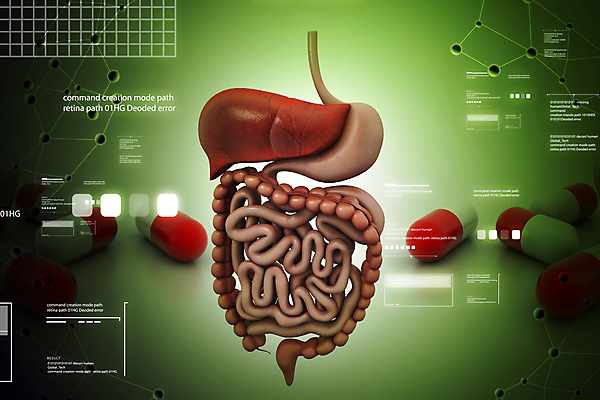 포토 JPG 해외이미지 신체 해부 건강 사람 사람없음 약 3D 먹기 간 심플 시스템 췌장 방법 복근 복잡 해외202004 해외포토 컨셉 의학 모션 근육 장기_의학 디지털합성 파일형식 이미지허브