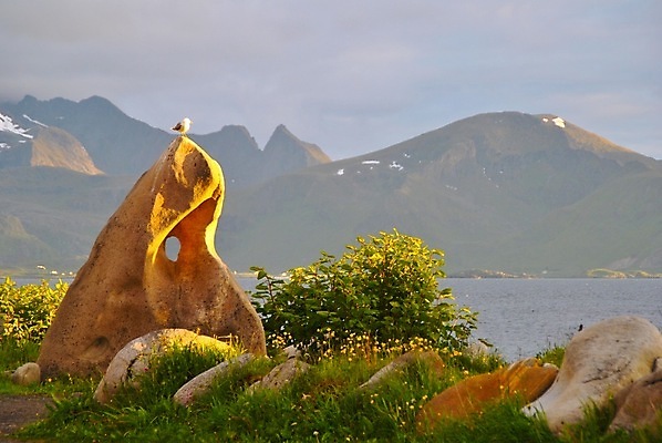 포토 JPG 해외이미지 갈매기 풍경 사람없음 해외202004 해외포토 조류 파일형식 이미지허브