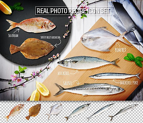 PSD 편집이미지 음식 식재료 재료 어류 사람없음 세트 레몬 도미 레시피 식칼 고등어 바질 광어 꽁치 병어 삼치 플랫레이 편집소스 이미지편집 과일 주방용품 수중동물 플랫 파일형식