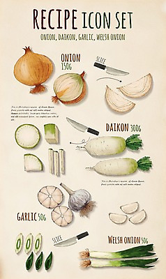 PSD 채소 일러스트 식재료 재료 양파 마늘 사람없음 세트 칼 무 레시피 파 대파 엘리먼트 플랫레이 국내일러스트 뿌리채소 플랫 파일형식