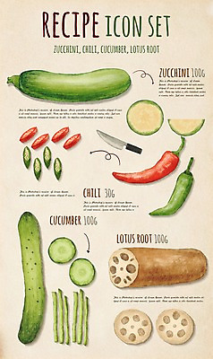 PSD 채소 일러스트 식재료 재료 고추 오이 사람없음 세트 레시피 애호박 연근 엘리먼트 플랫레이 국내일러스트 호박 플랫 파일형식