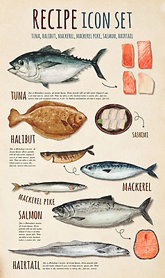 PSD 일러스트 식재료 재료 어패류 어류 사람없음 세트 회 참치 연어 레시피 고등어 갈치 고등어구이 광어 꽁치 엘리먼트 플랫레이 국내일러스트 동물 음식 수중동물 플랫 생선구이 파일형식