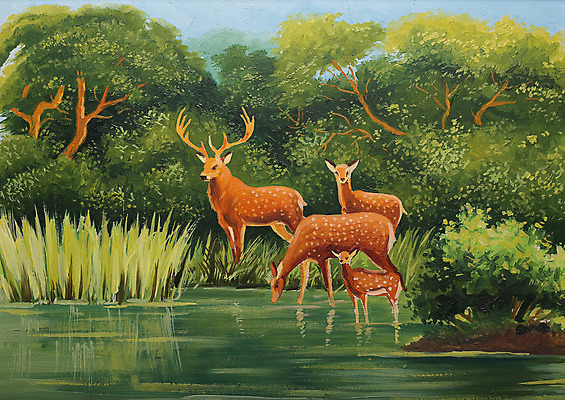 포토 JPG 해외이미지 모양 나무 디자인 계절 백그라운드 잎 패턴 밭 가족 자연 벽지 사슴 새로움 창조 미술 풍경 사람없음 야외 장식 물 여름 강 반사 노란색 페인트 정보 화려 그리기 팔레트 중앙 숲 언덕 그림 원예 캔버스 페인트붓 우표 해외202004 해외포토 자연요소 식물 컬러 컨셉 무늬 농업 포유류 관계 모션 문화예술 취미 붓 생태계 파일형식 이미지허브