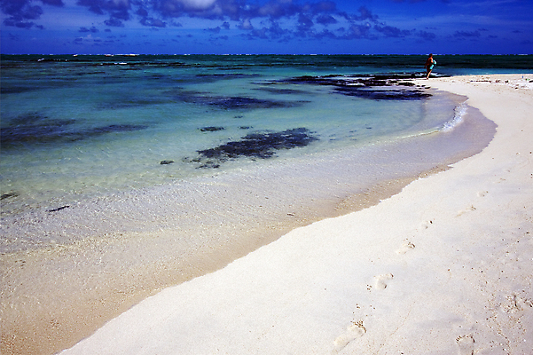포토 JPG 해외이미지 구름 모래 파도 바다 섬 곡선 조류 하늘 사람없음 초록색 물 파란색 갈색 노란색 검은색 거품 바위 흰색 발자국 썰물 모리셔스 해외202004 해외포토 자연요소 동물 선 컬러 자국 돌_바위 파일형식 이미지허브