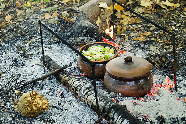 포토 JPG 해외이미지 계절 음식 잎 가족 자연 불 양파 낚시 휴가 불꽃 감자 건강 요리 사람없음 야외 초록색 소풍 노란색 하이킹 튀김 가을 뜨거움 그릴 냄비 숲 장작 굽기 준비 점토 레시피 석탄 해외202004 해외포토 자연요소 식물 컬러 채소 관계 주방용품 레저 야외활동 솥 구이 생태계 파일형식 이미지허브