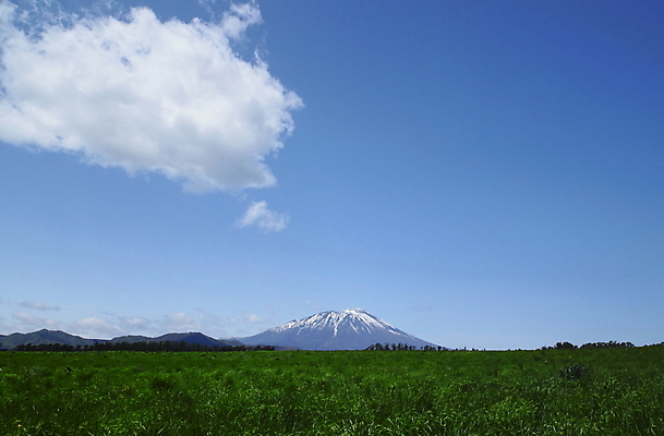 포토 JPG 해외이미지 나무 계절 자연 하늘 산 풍경 사람없음 목재 초록색 파란색 일본 봄 숲 해외202004 해외포토 식물 아시아 컬러 재료 생태계 파일형식 이미지허브