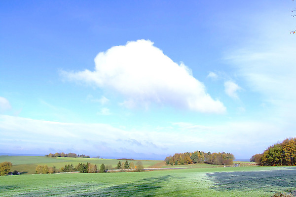 포토 JPG 해외이미지 겨울 사람없음 서리 해외202004 해외포토 계절 파일형식 이미지허브